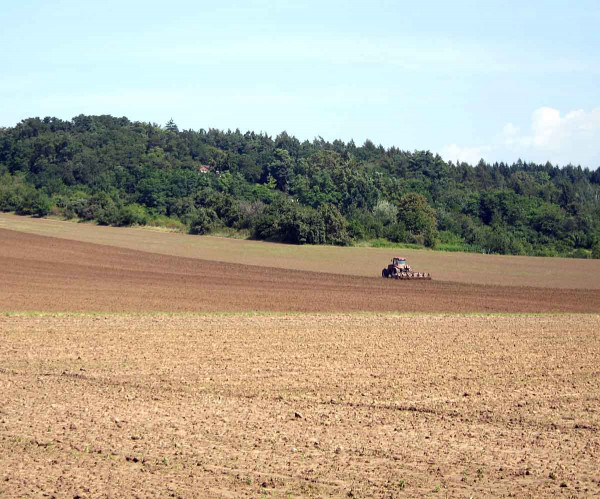 Příprava půdy a setí rozhoduje o účinnosti půdních herbicidů