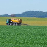 Vliv hnojení statkovými a minerálními hnojivy na výnos a kvalitu pšenice ozimé v letech 2015‒2018