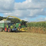 Charakteristika ideálního hybridu silážní kukuřice
