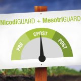 NicodiGUARD a MesotriGUARD - osobní strážci vaší kukuřice