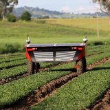 Současný trend v robotizaci ochrany rostlin