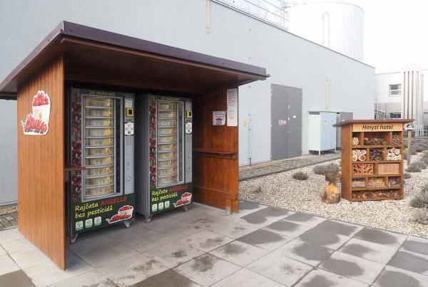 Automat na rajčata bez zbytků pesticidů v areálů Zemědělského družstva Haňovice