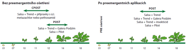 Graf 1: Doporučení pro aplikaci herbicidu Salsa® 75 WG v ozimé řepce