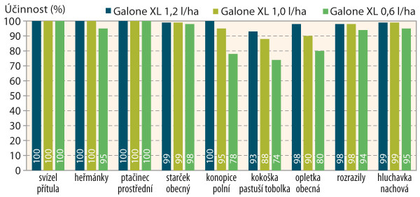 Graf 1: Účinnost Galone XL na vybrané plevele v ozimých obilninách