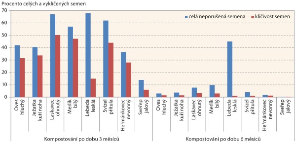 Graf 1: Počet semen plevelů a jejich klíčivost po době kompostování 3 a 6 měsíců