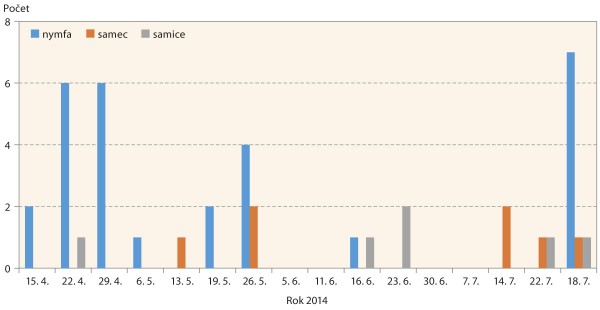 Graf 1: Výskyt starších nymf a dospělců 1. a 2. generace od začátku roku do žní v průhledných miskách v roce 2014; po nadprůměrně teplé země 2013/14 se křísek líhnul již koncem března a starší nymfy a dospělci byli odchyceni již v dubnu