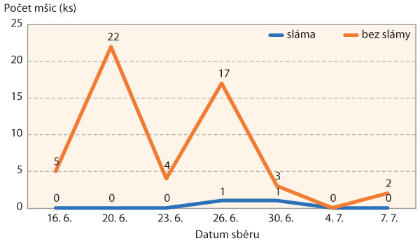 Graf 3: Vliv slaměného mulče  na celkový nálet mšice broskvoňové (Myzus persicae) na žlutou misku typu Lamberse (poloprovozní pokusy, 2023)