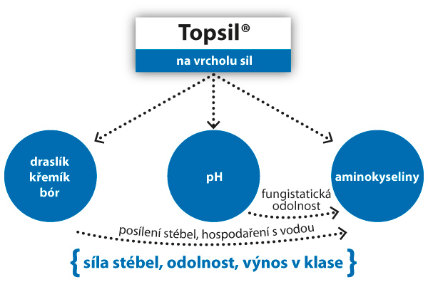 Schéma: Složení a vlastnosti biostimulantu Topsil